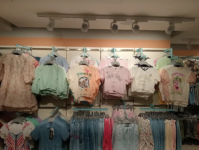 TRENDS JUNIOR